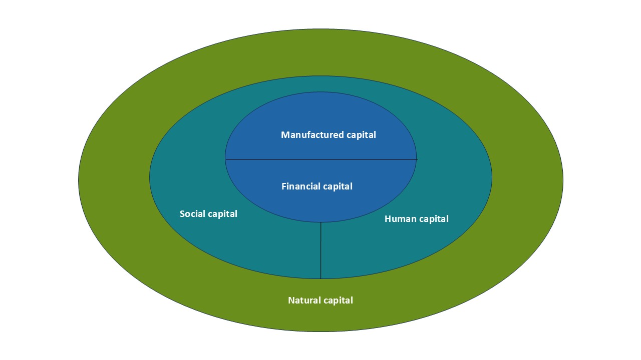 The Five Capitals model