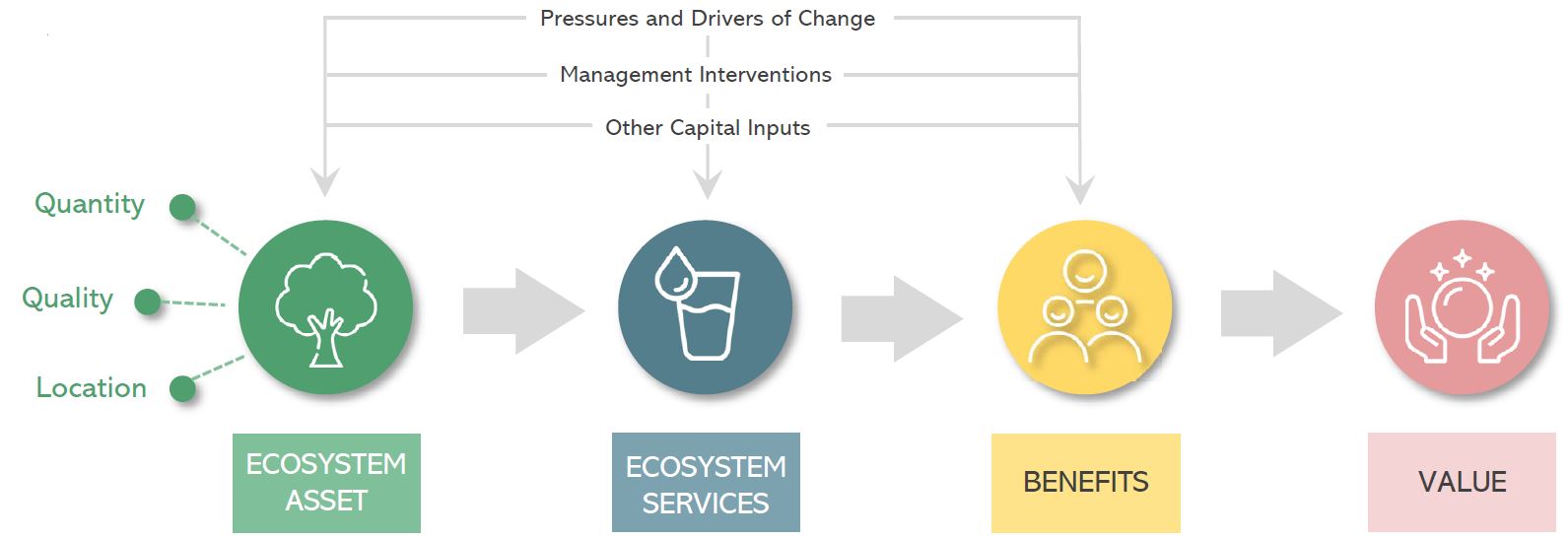 Natural capital logic chain