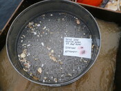 413984 G9B Sieve 5mm.JPG