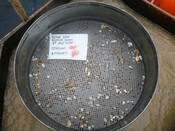 413984 G8B Sieve 5mm.JPG